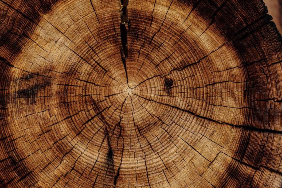 Holzlager der Holz Widmann GmbH in Olching mit gestapelten Schnitthölzern